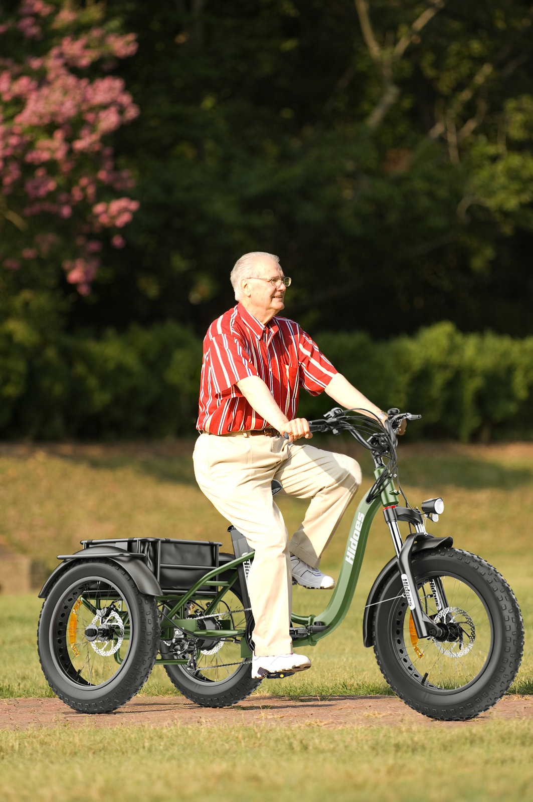 Elektryczny Rower Trójkołowiec Hidoes Pojazd elektryczny 750W 48V 20Ah - obrazek 13