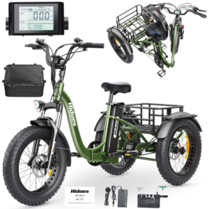 Elektryczny Rower Trójkołowiec Hidoes Pojazd elektryczny 750W 48V 20Ah